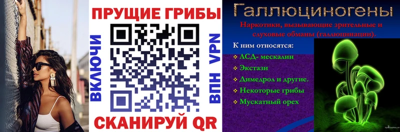 Галлюциногенные грибы мухоморы mega как зайти Валуйки купить закладку